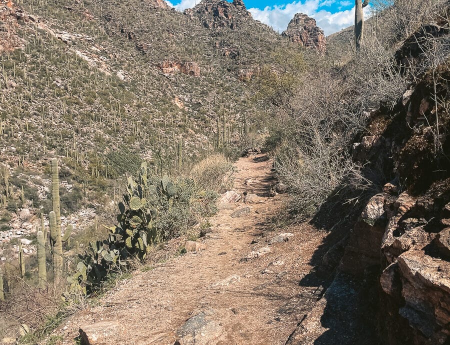 The trail to Seven falls in Tucson