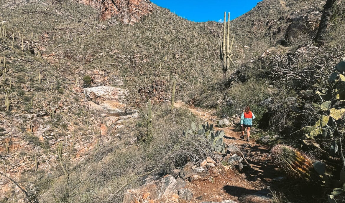 The stunning trail to 7 falls surrounded by large boulders and cacti.