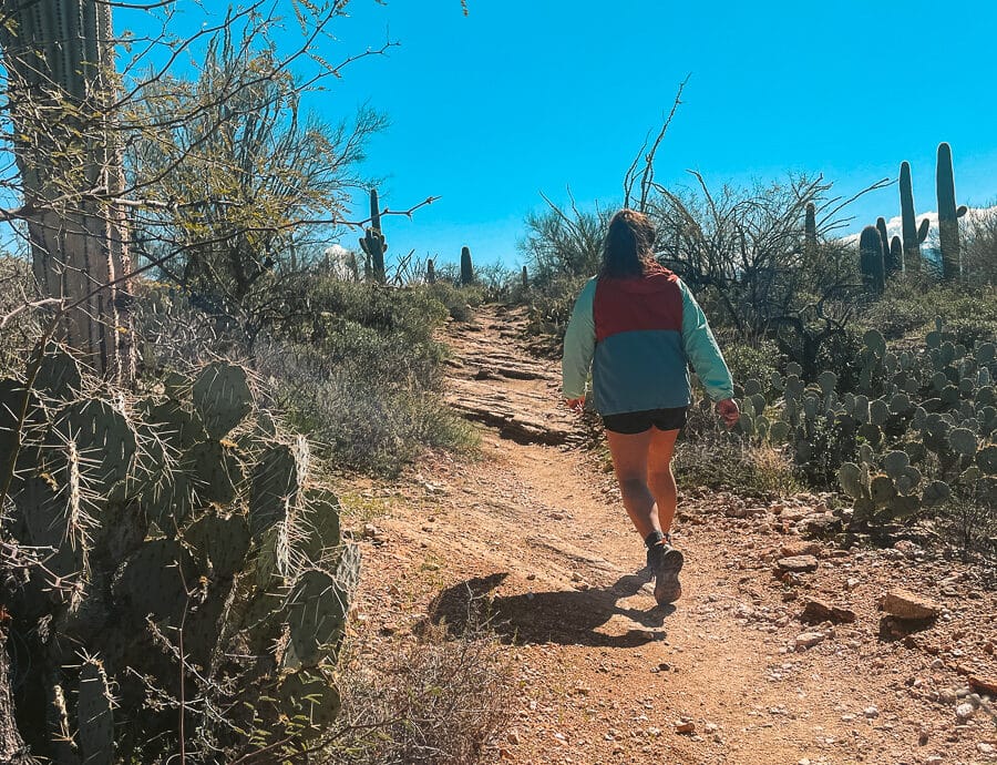 The beginning of the real trail. The trail is narrow and surrounded by cacti.