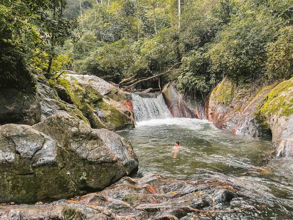 A serene waterfall cascades into a clear pool surrounded by lush green foliage and moss-covered rocks. A person swims in the pool called Pozo Azul, enjoying the natural beauty of the tranquil forest setting.