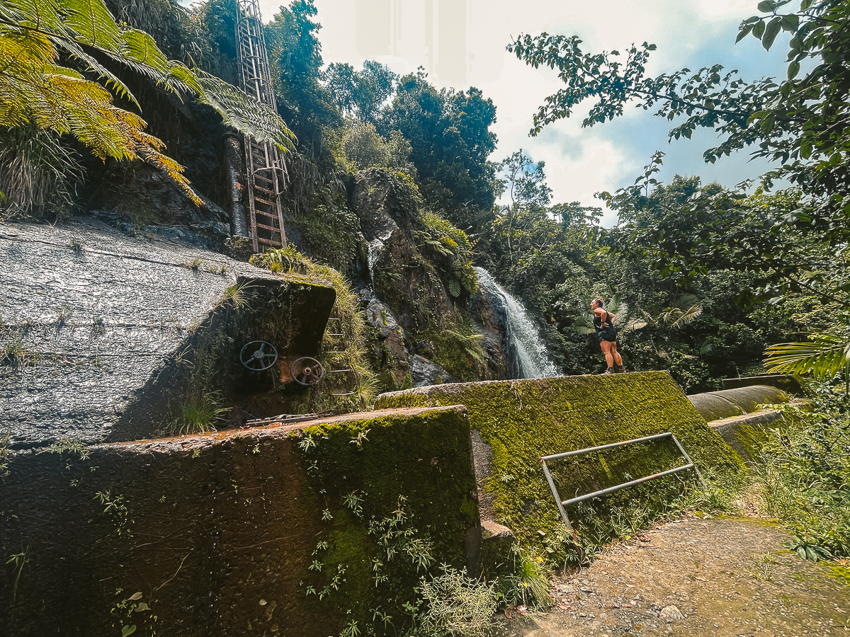 infinity pool el yunque ladder