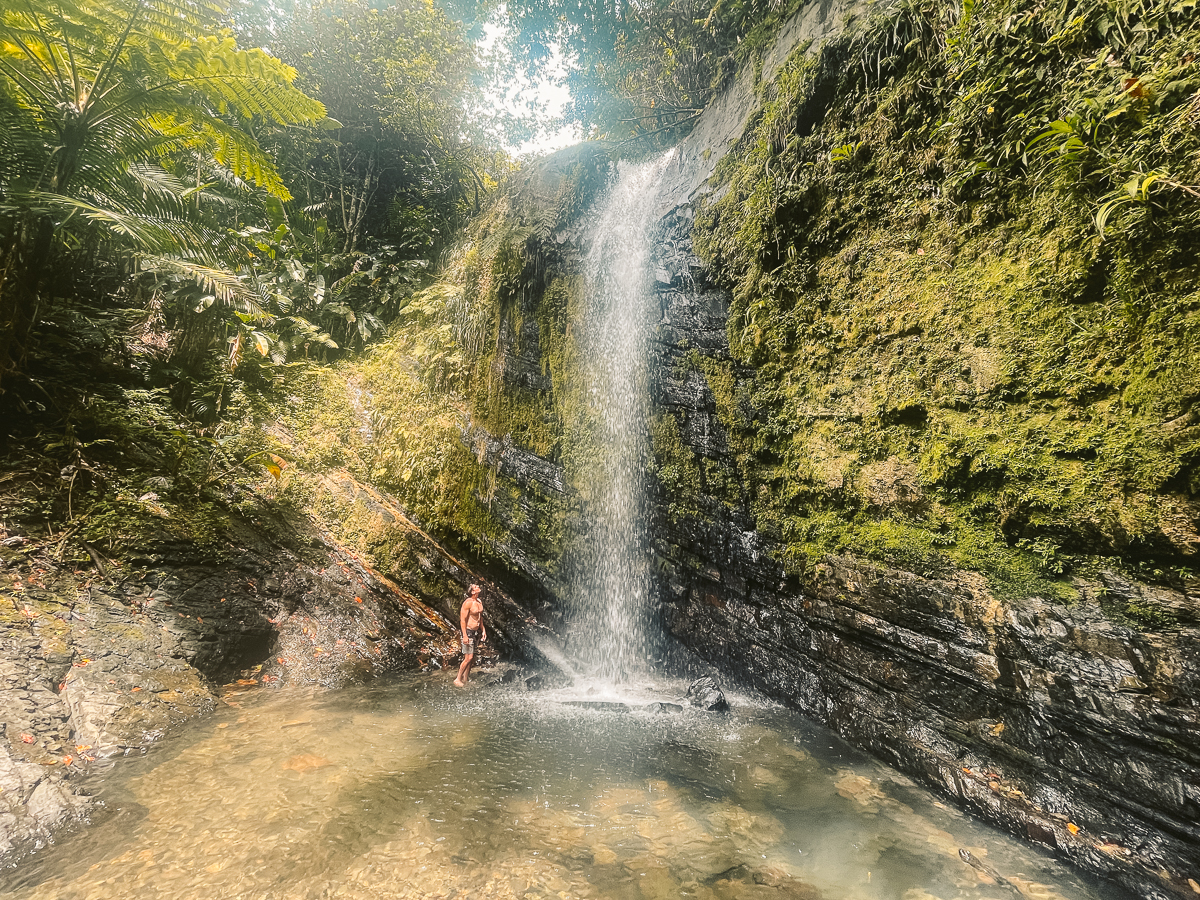 juan diego falls el yunque, best hikes puerto rico