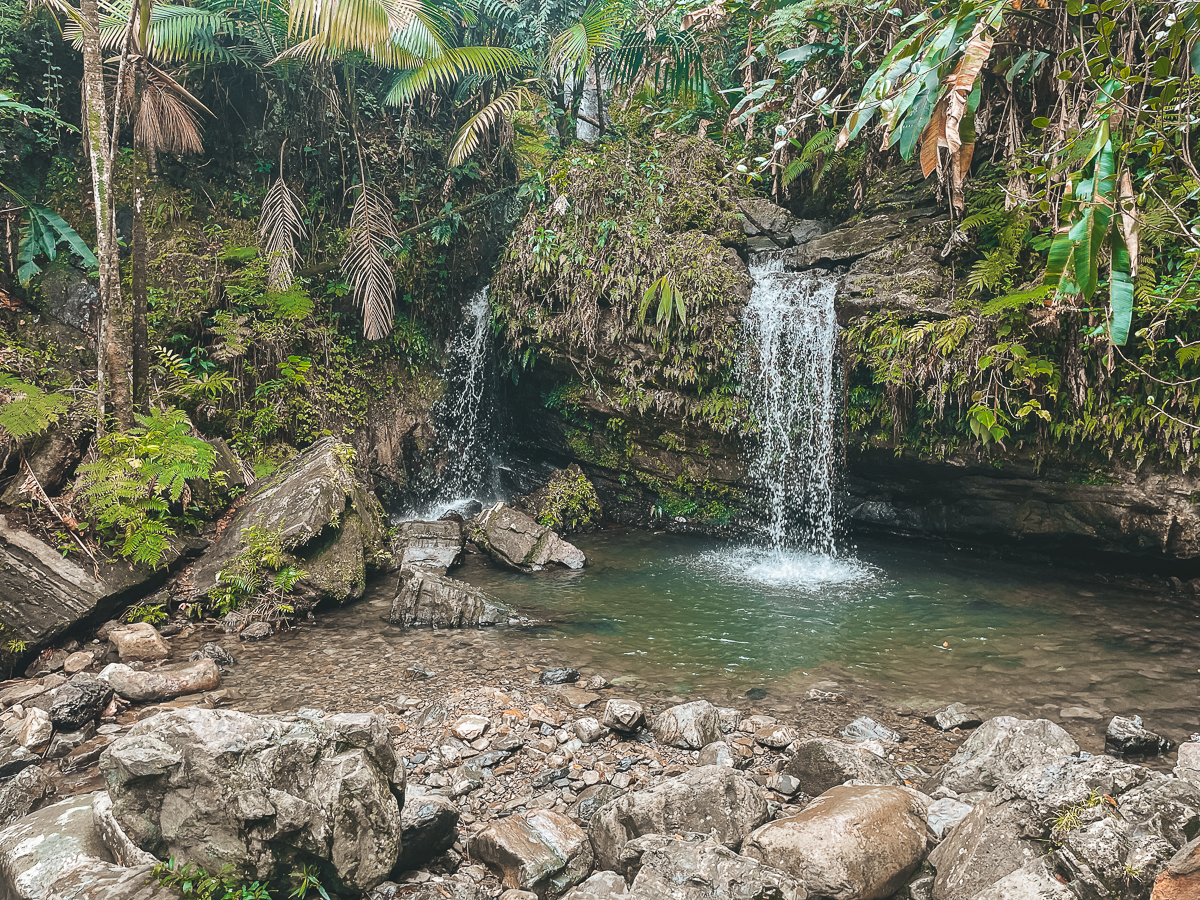 juan diego falls el yunque