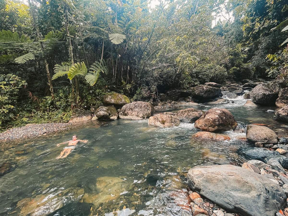 la coca trail el yunque, best hikes puerto rico