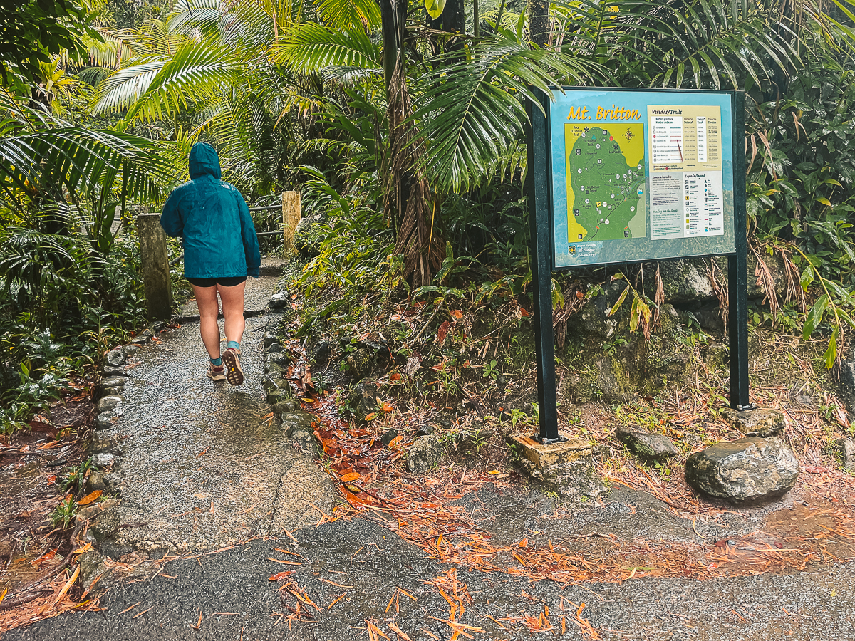 best hikes puerto rico