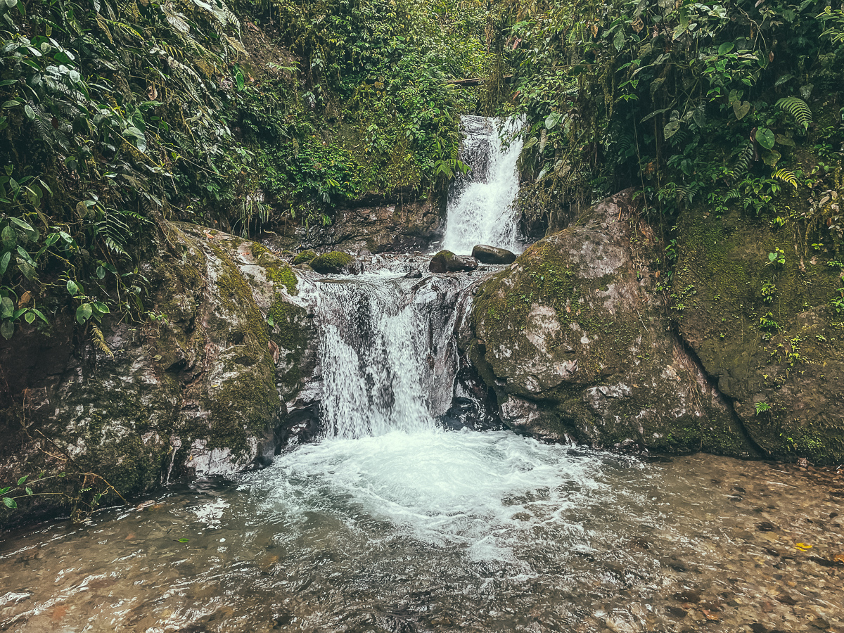 mindo waterfall hike