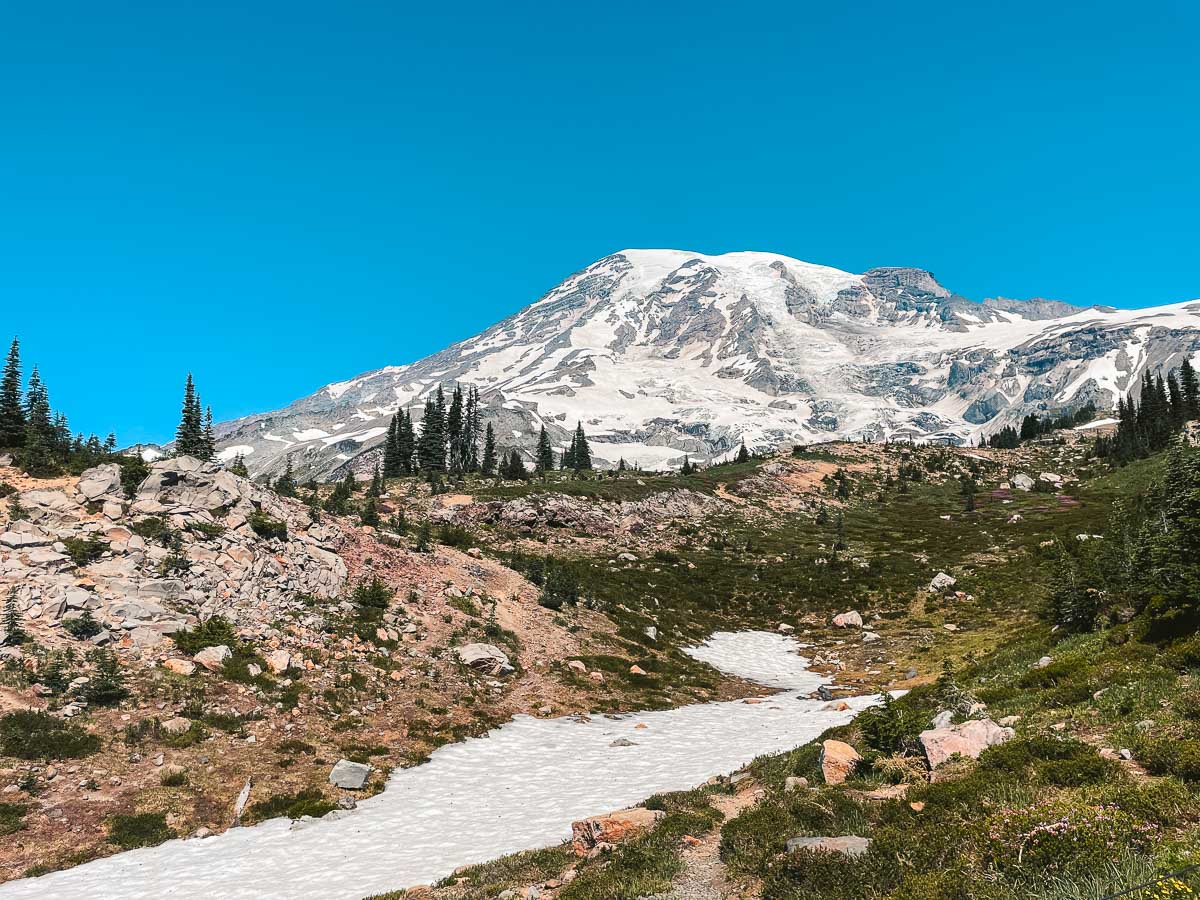 Mt. Rainier in the background with small tree patches and snow patches below on the skyline loop trail.