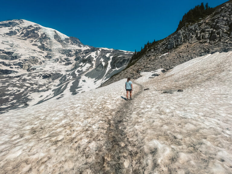 Loop Mount Rainer Is the Skyline Loop Trail at Mt. Rainier Worth the Hype?