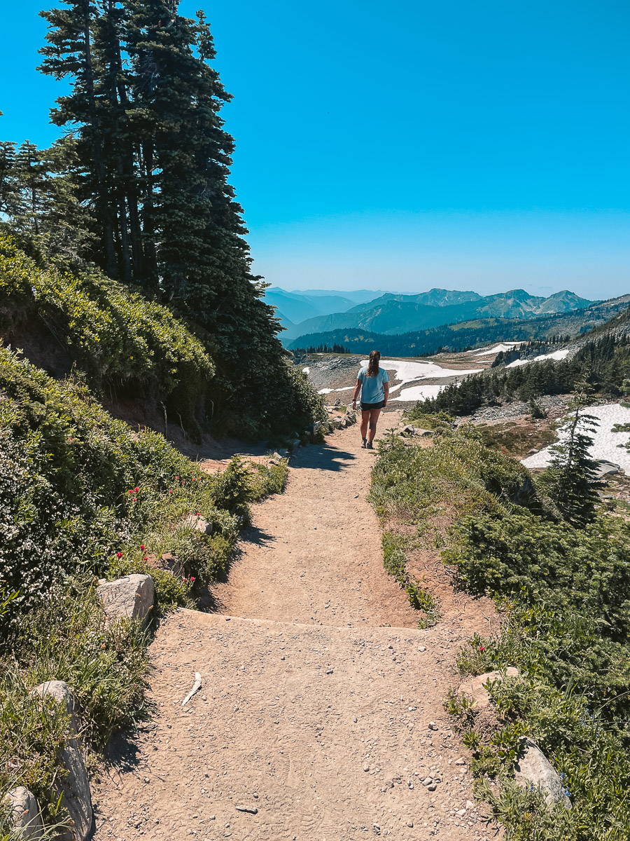 Loop Mount Rainer Is the Skyline Loop Trail at Mt. Rainier Worth the Hype?