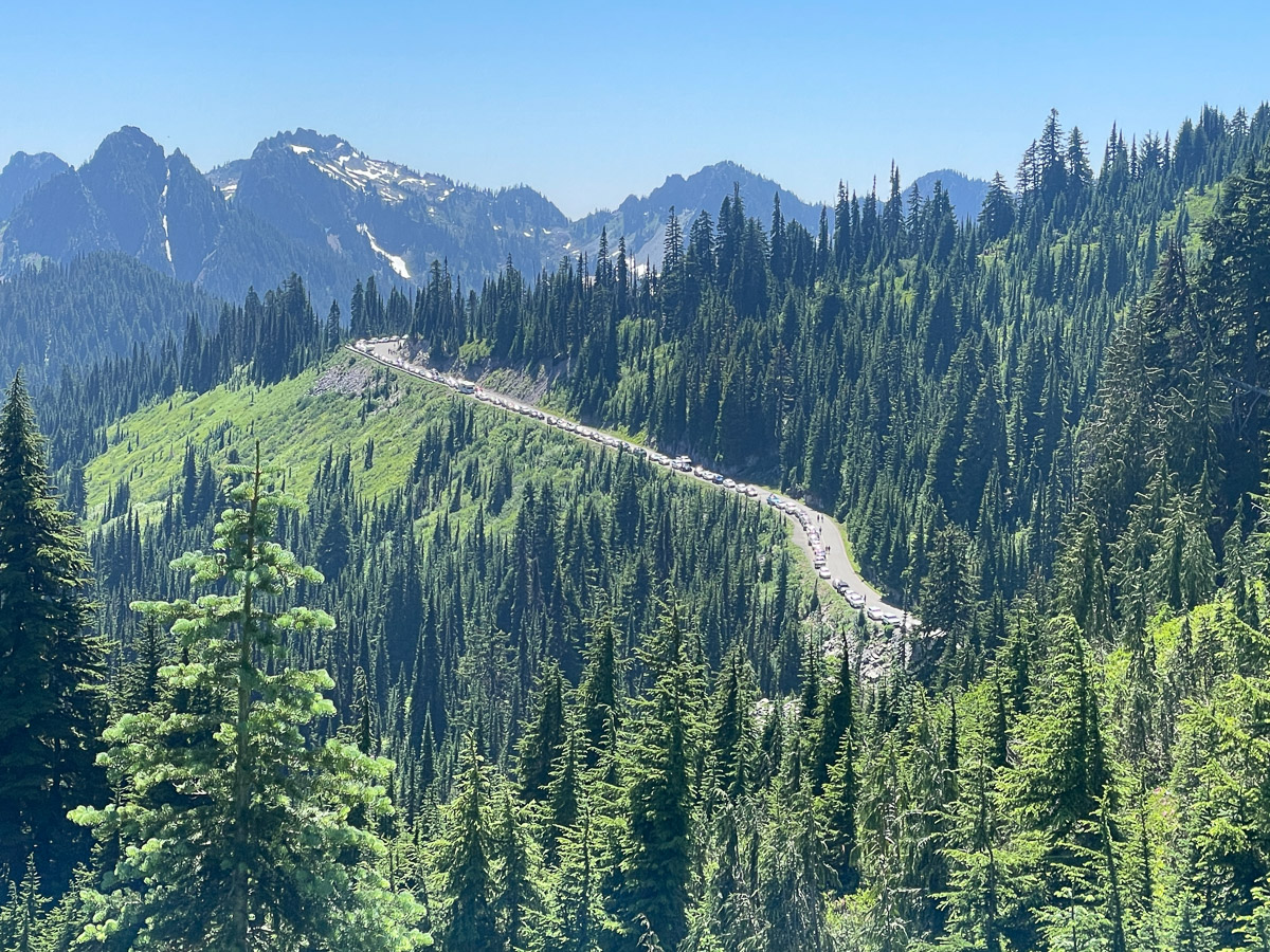 Loop Mount Rainer Is the Skyline Loop Trail at Mt. Rainier Worth the Hype?