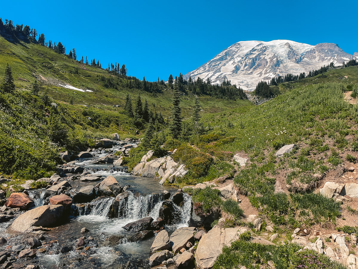 A a view of a river flowing down a lush green mountain with Mt. Rainier in the background