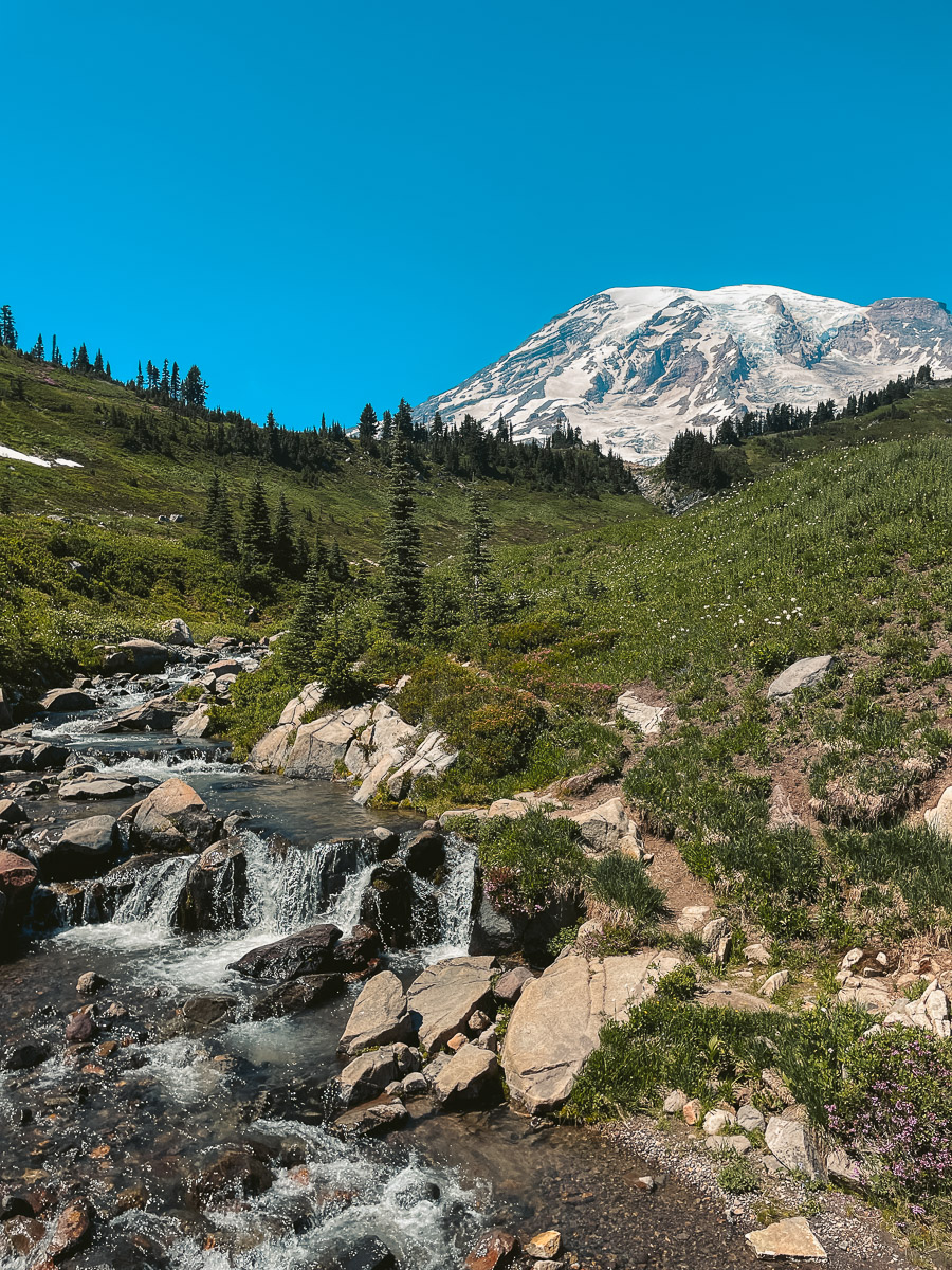 Loop Mount Rainer Is the Skyline Loop Trail at Mt. Rainier Worth the Hype?