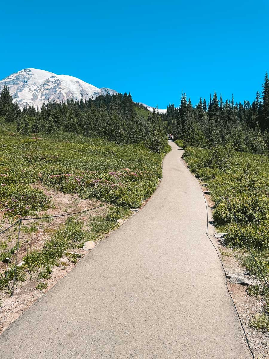 The beginning of Skyline Loop trail. Theres a somewhat narrow but paved pathway leading closer to Mt. Rainier. 