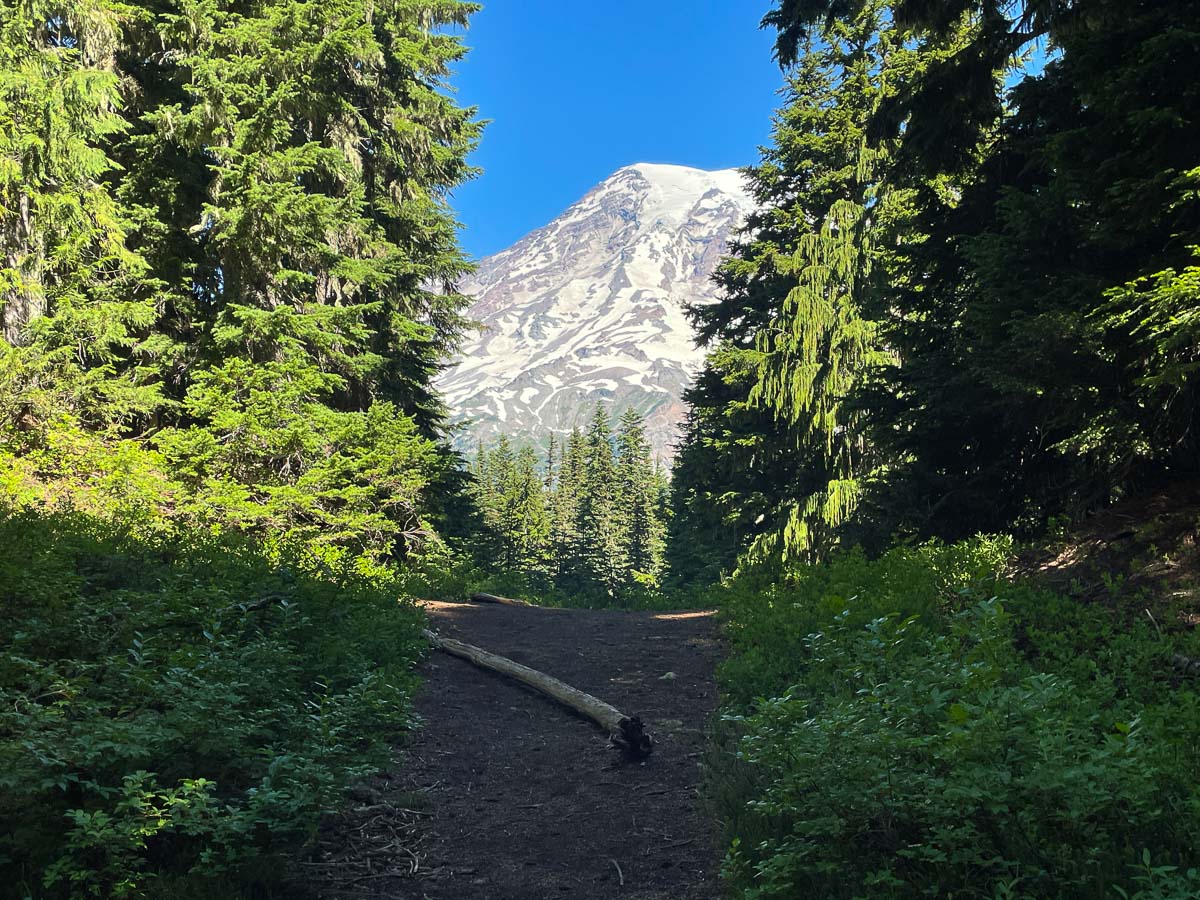 Breathtaking view of Mt. Rainier along Pinnacle Peak trail with a gap in the tree line that shows the mountain peaking out. 