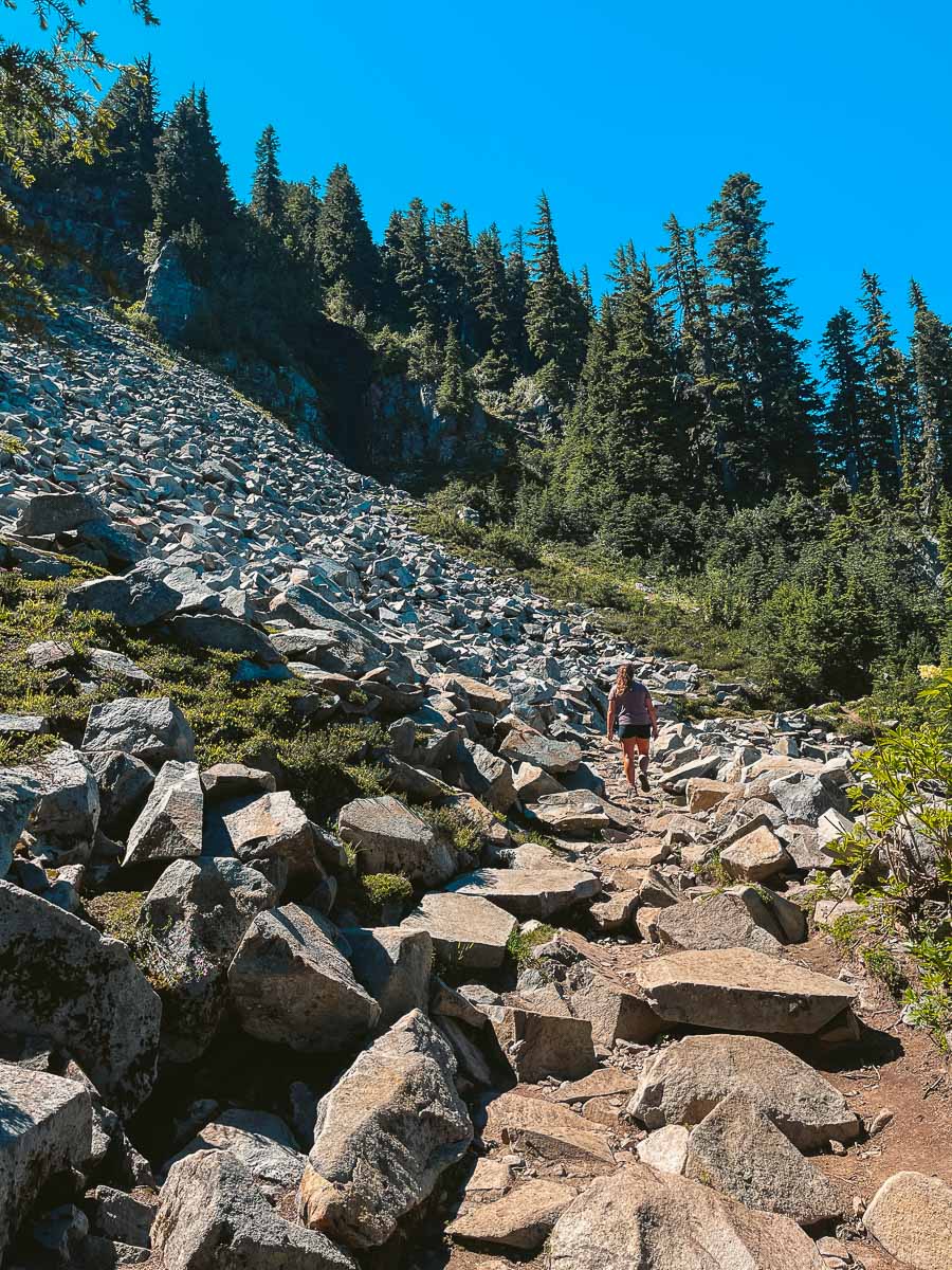 The Pinnacle Peak trail switched to larger boulders as the tree line opened up. 