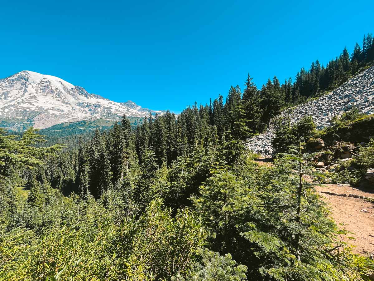 Part of the trail down on Pinnacle Peak trail with Mt. Rainier in the background. 