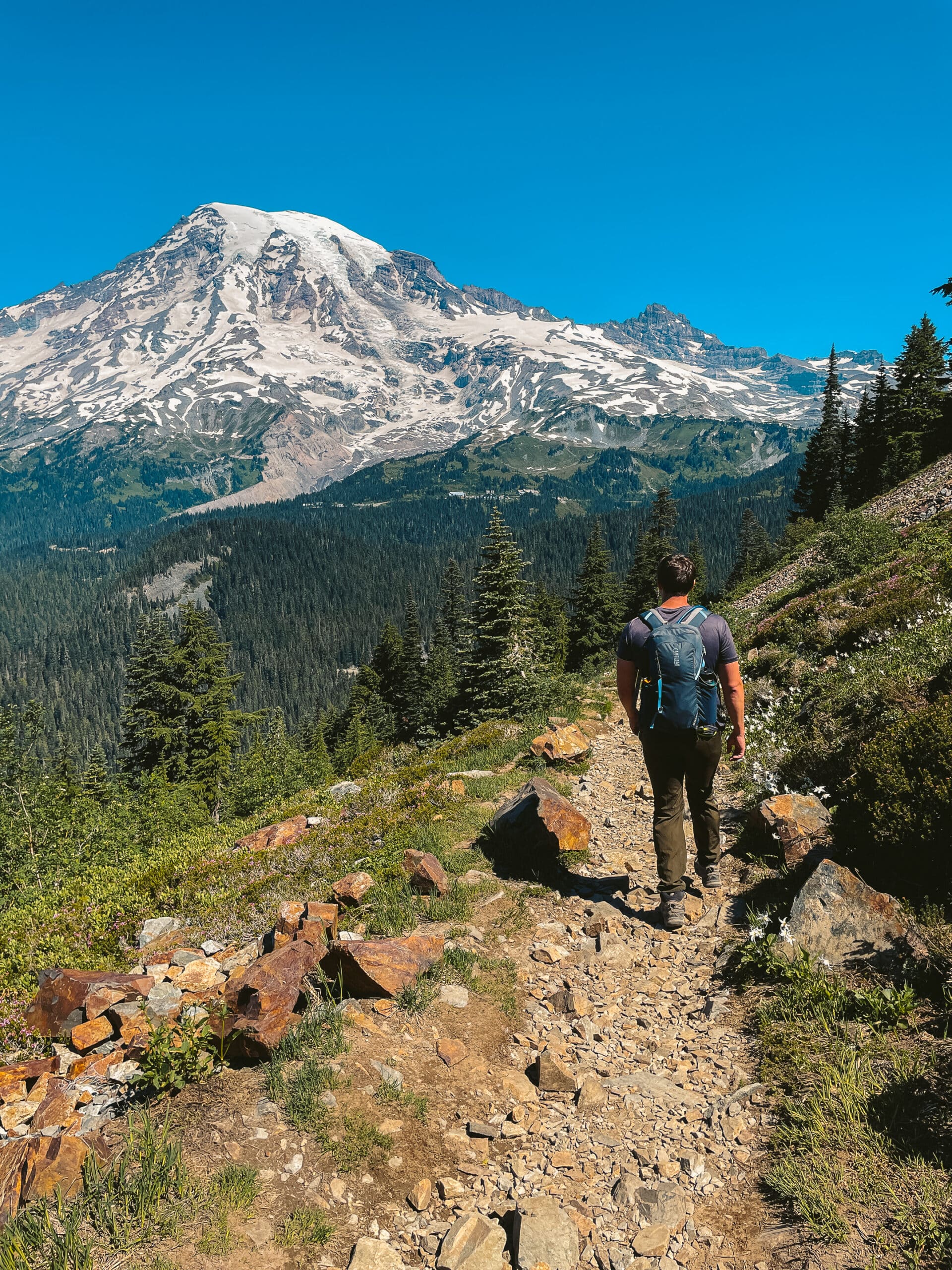 Breathtaking view of Mt. Rainier along Pinnacle Peak trail. 