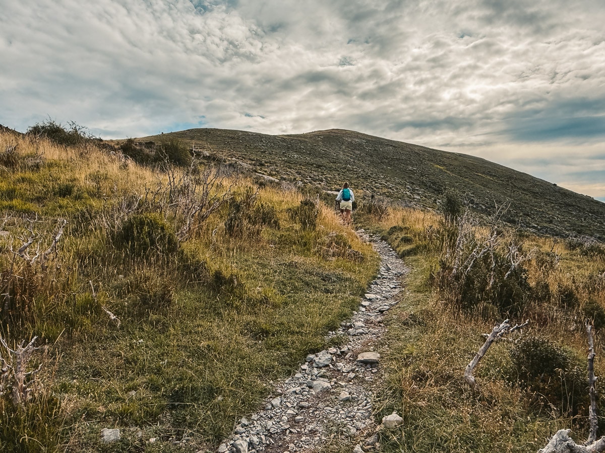 A rocky trail that is narrow with green grass around it leading to a peak.