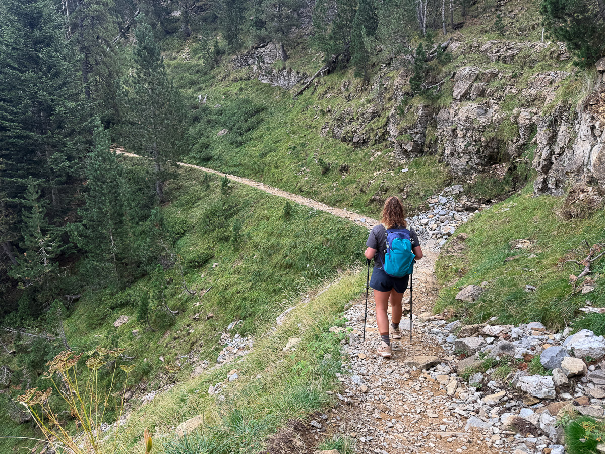 Hiking along the Faja de Pelay trail which is on Senda de los Cazadores. The trail is flat with some tree lines and views of Ordesa Valley to your left. 