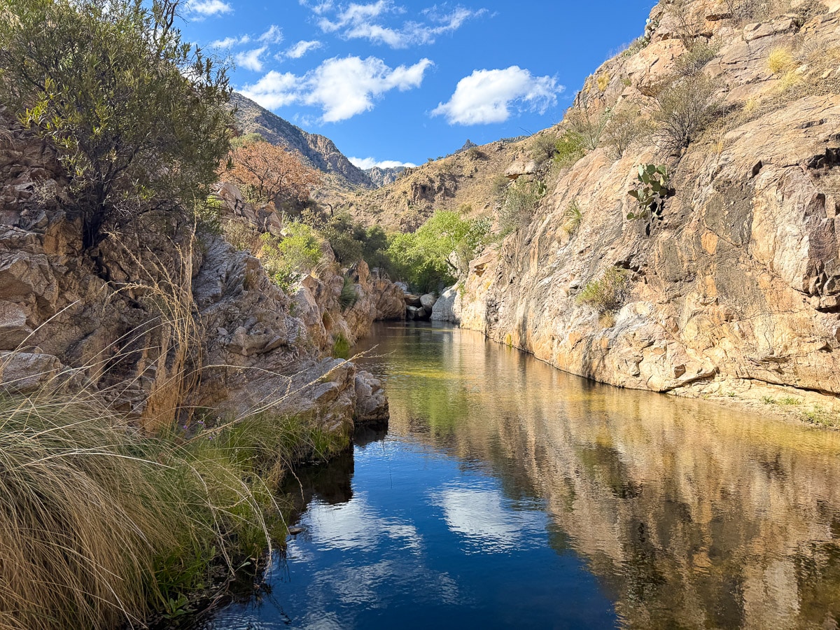 Picture of Hutch's Pool in Tucson with reflecting water and vegetation coming up off the sides of the cliffs.