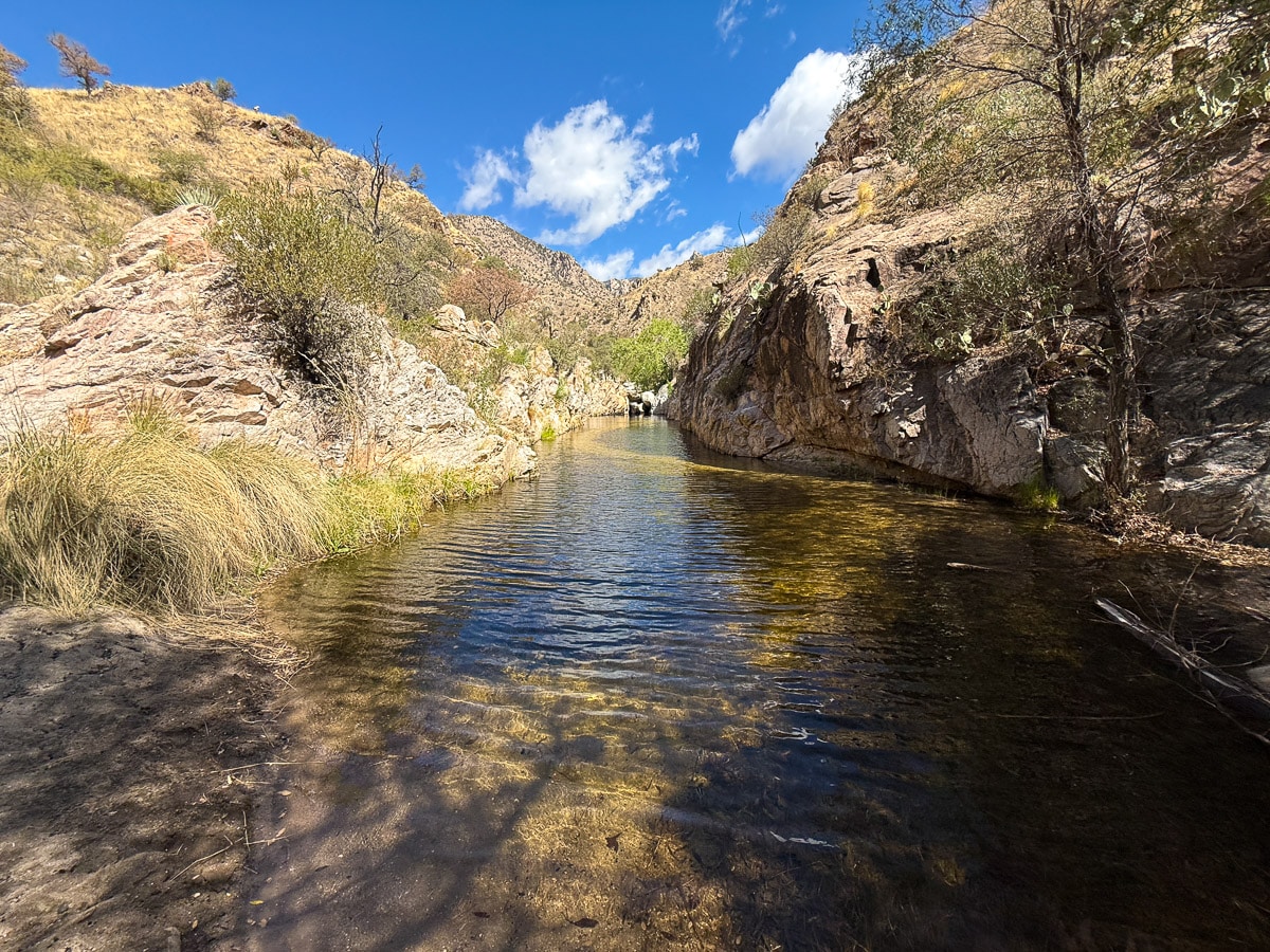 Hutch's Pool in the Sabino Canyon. 