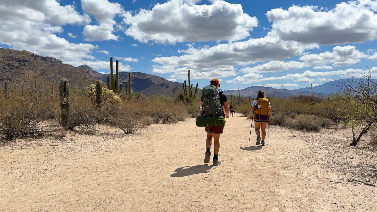 Hiking on the Bear Canyon Trail on our way to Hutch's Pool. This trail is very flat with Saguaro Cacti surrounding us. 