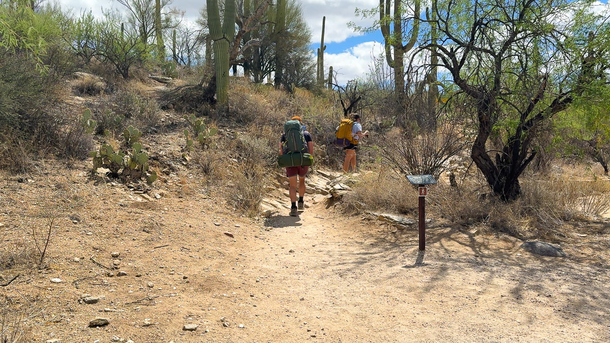 Starting the Phoneline trail that leads into the Sabino Canyon on our way to Hutch's Pool. 