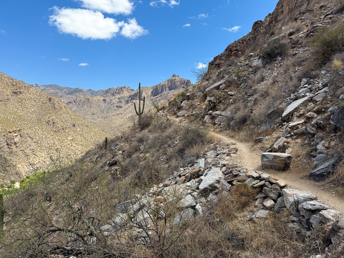 Phoneline trail in the Sabino Canyon
