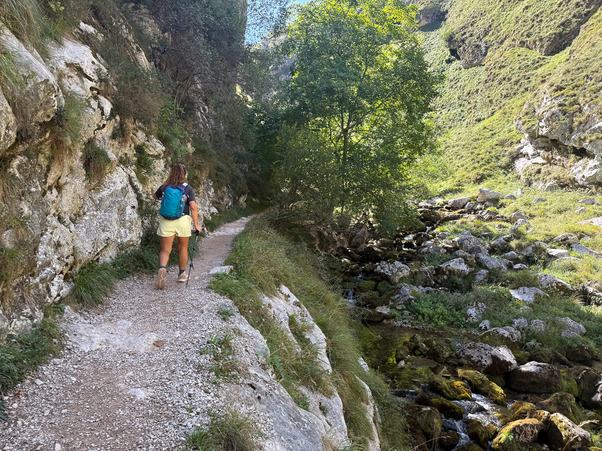 Hiking along the Ruta Bulnes trail with a towering cliff to your left and a stream to our right.