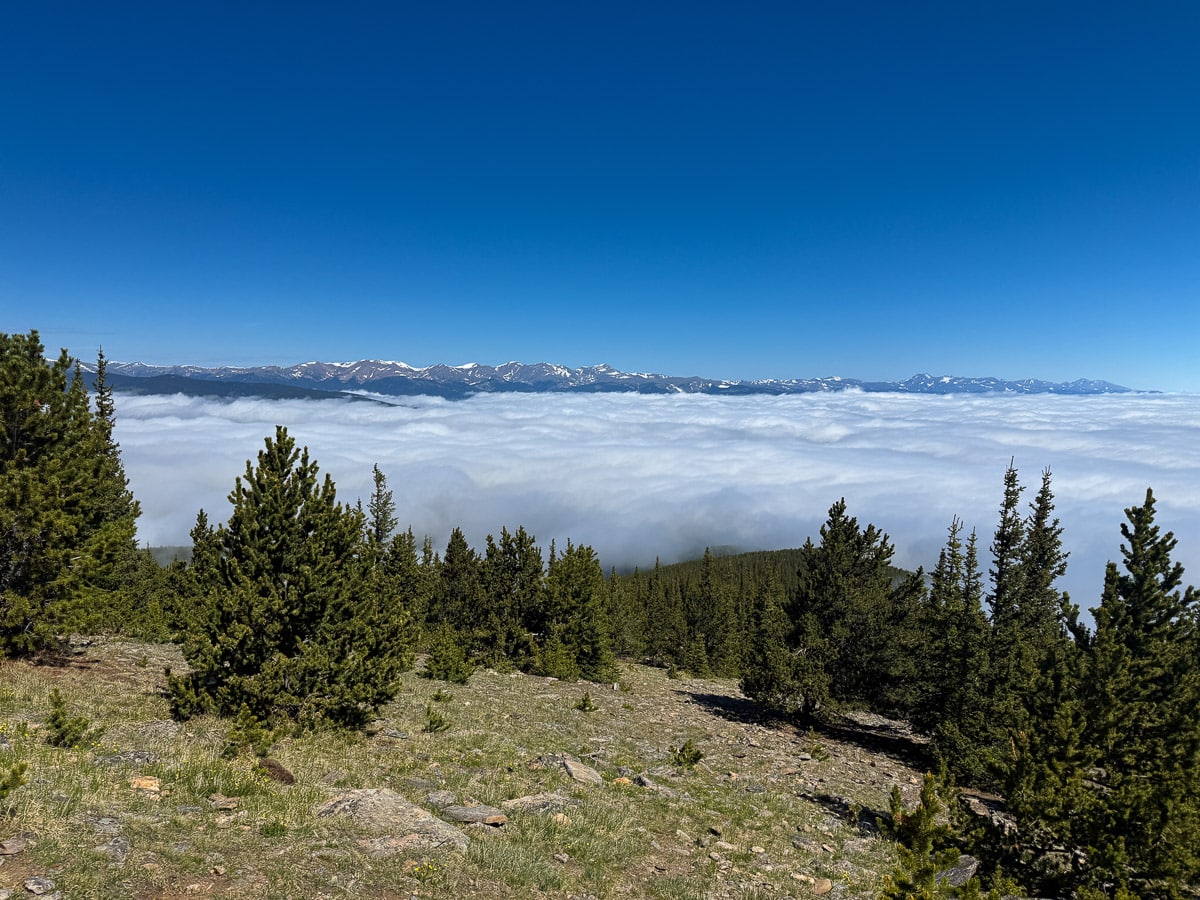View of the Rockies from the Chief Mountain trail