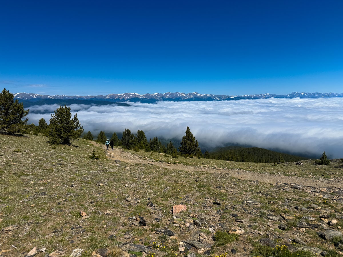 An open trail above the clouds on Chief Mountain with the Rocky Mountains in the background.